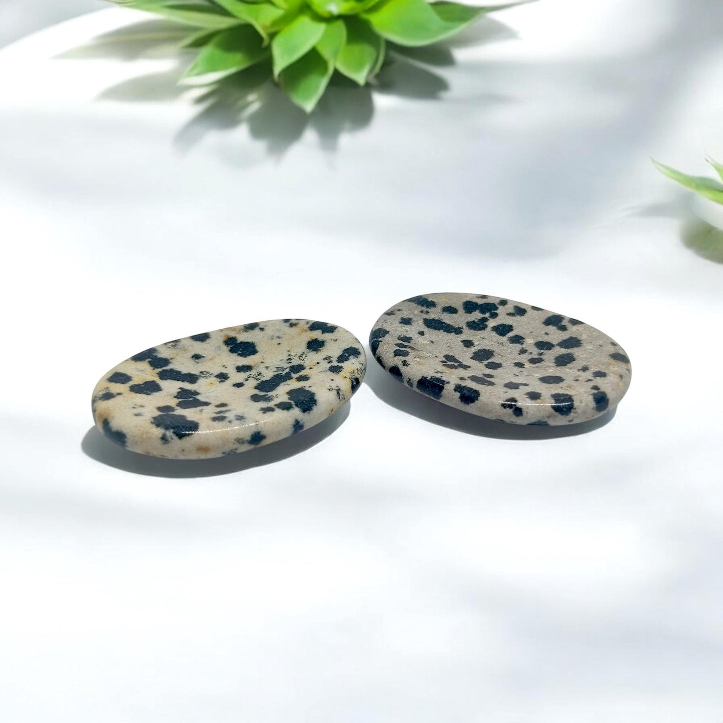 Dalmatian Jasper Worry Stone | Anxiety Relief Crystal | Grounding Palm Stone | Stress Relief Fidget Tool | Healing Gemstone | Meditation