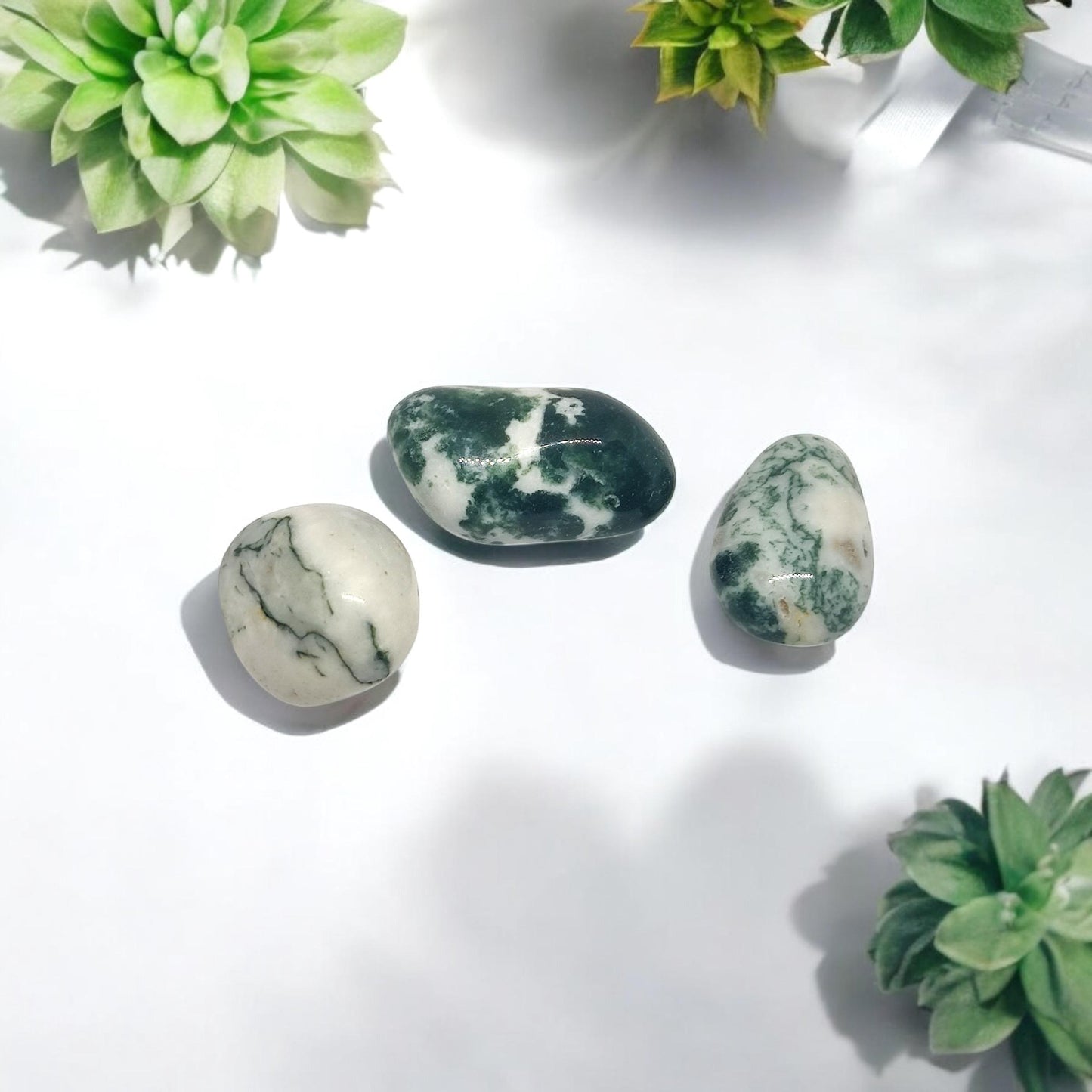 Tree Agate Tumbled Stones | Natural Courage and Peace Crystal | Healing Gemstone for Abundance, Grounding & Inner Strength | TCC | Bulk