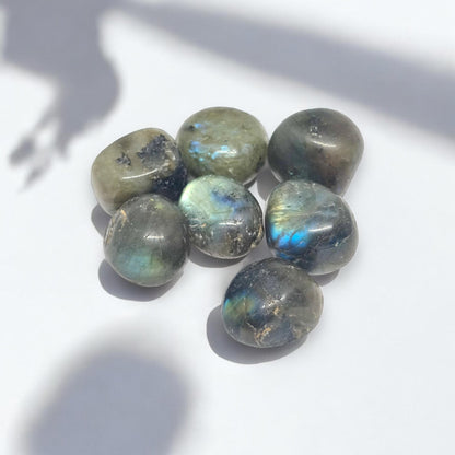 Labradorite Tumbled Stones | Flash Crystal for Intuition & Magic | Healing Gemstones | Meditation, Protection, Transformation | TCC