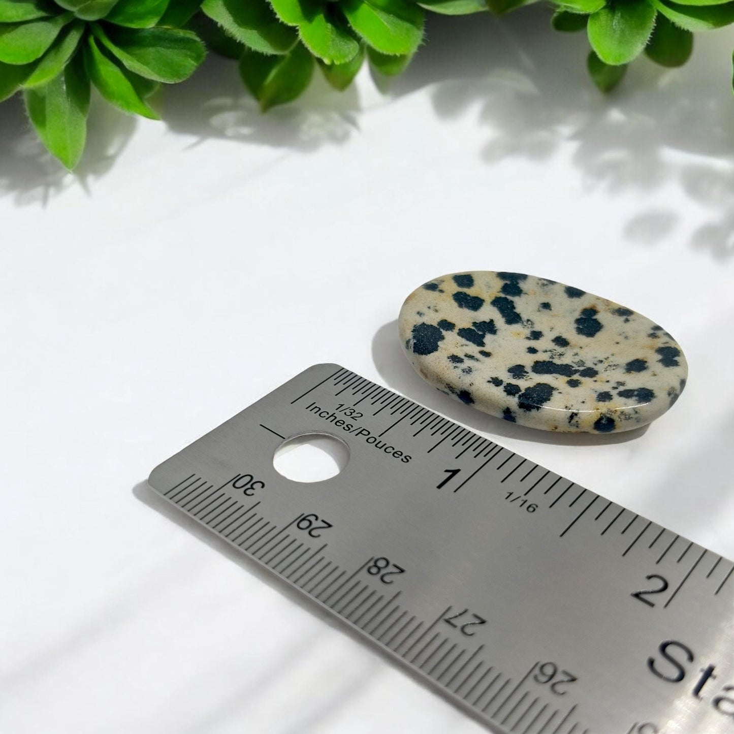 Dalmatian Jasper Worry Stone | Anxiety Relief Crystal | Grounding Palm Stone | Stress Relief Fidget Tool | Healing Gemstone | Meditation