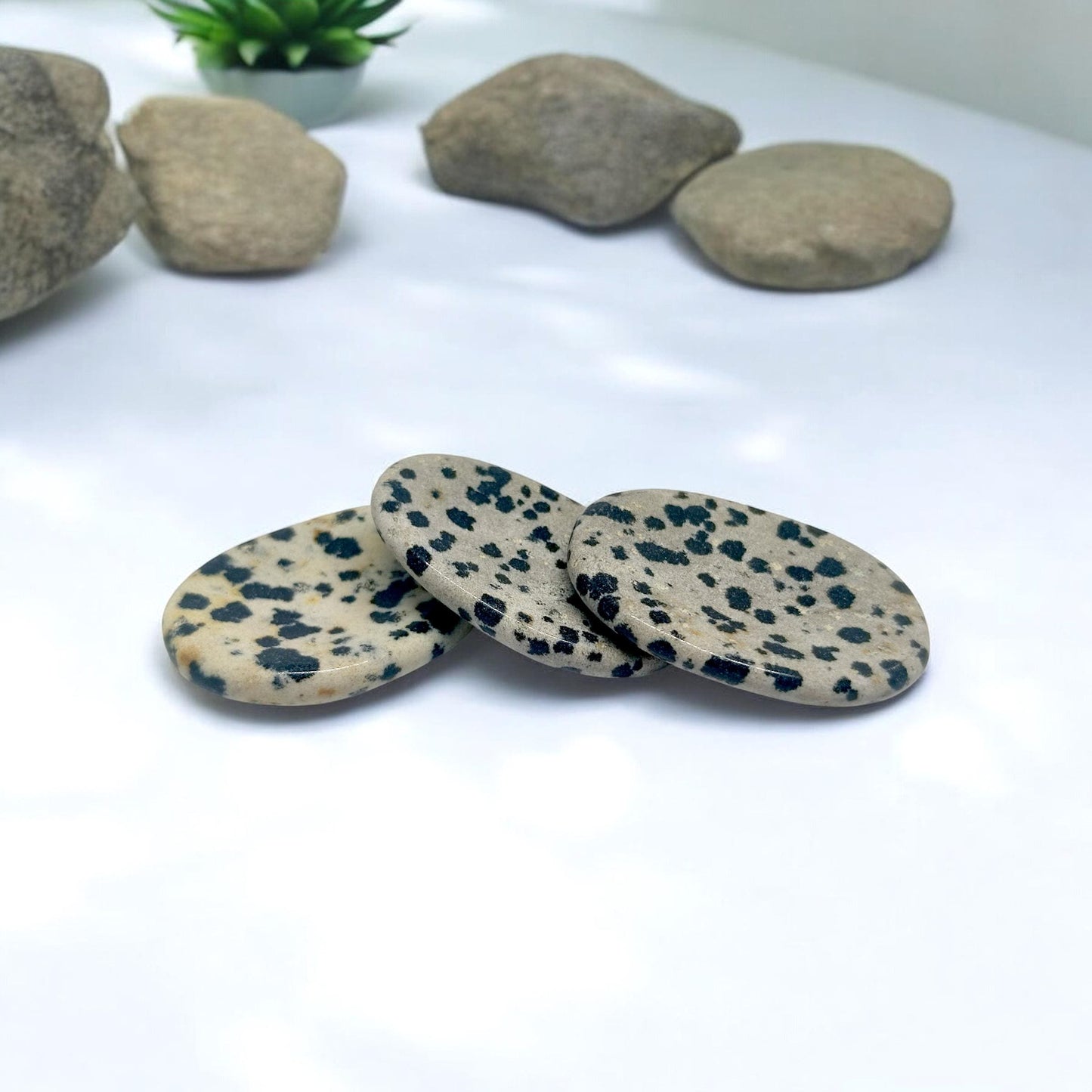 Dalmatian Jasper Worry Stone | Anxiety Relief Crystal | Grounding Palm Stone | Stress Relief Fidget Tool | Healing Gemstone | Meditation