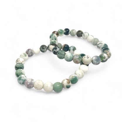 Tree Agate Bracelet | Natural Growth Stone | Inner Peace & Abundance | Adjustable Stretch Fit