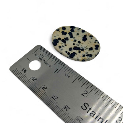 Dalmatian Jasper Worry Stone | Anxiety Relief Crystal | Grounding Palm Stone | Stress Relief Fidget Tool | Healing Gemstone | Meditation