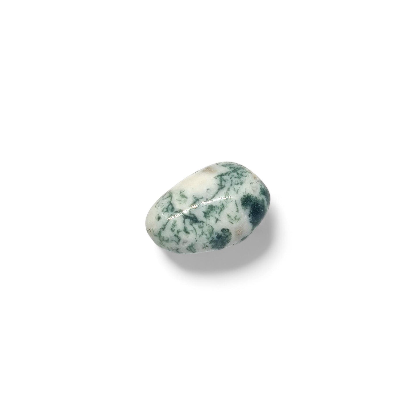 Tree Agate Tumbled Stones | Natural Courage and Peace Crystal | Healing Gemstone for Abundance, Grounding & Inner Strength | TCC | Bulk