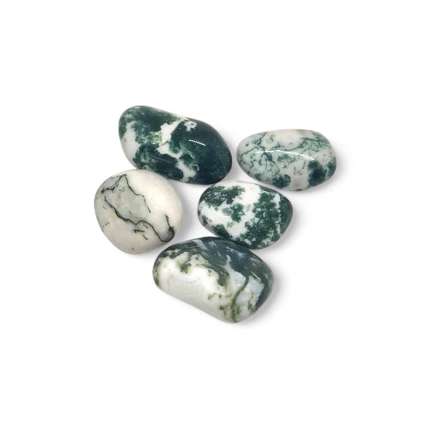 Tree Agate Tumbled Stones | Natural Courage and Peace Crystal | Healing Gemstone for Abundance, Grounding & Inner Strength | TCC | Bulk