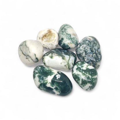 Tree Agate Tumbled Stones | Natural Courage and Peace Crystal | Healing Gemstone for Abundance, Grounding & Inner Strength | TCC | Bulk