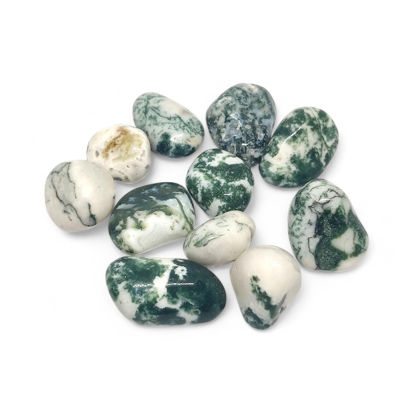 Tree Agate Tumbled Stones | Natural Courage and Peace Crystal | Healing Gemstone for Abundance, Grounding & Inner Strength | TCC | Bulk